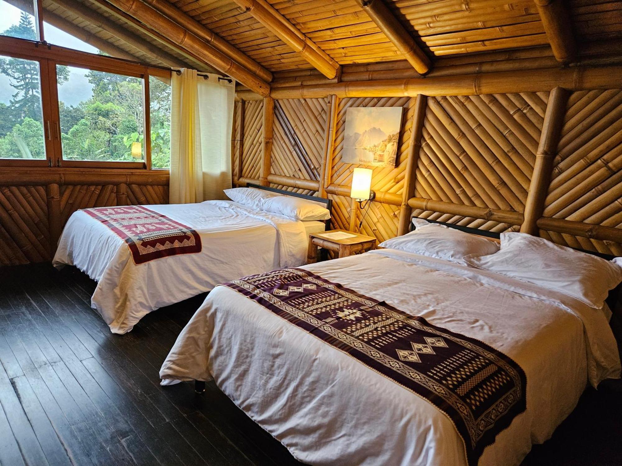 Golden Tree Mindo Eco-Lodge Buitenkant foto